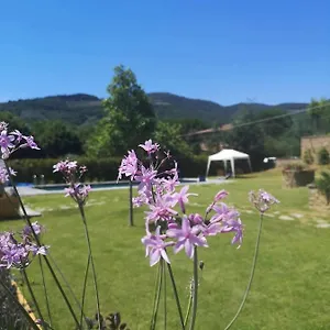 alba-morus-bed-e-breakfast-sentiti-a-casa-nel-cuore.it-tuscanyhotel.com/